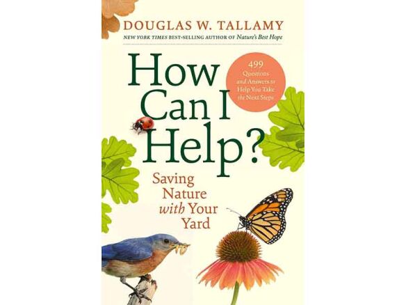 How Can I Help?